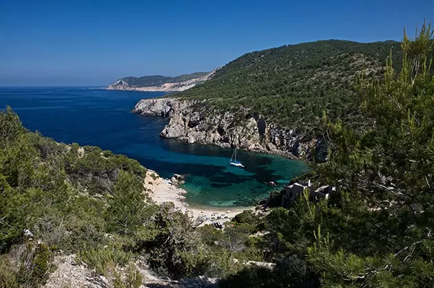 Raisons d'aller à Ibiza au printemps