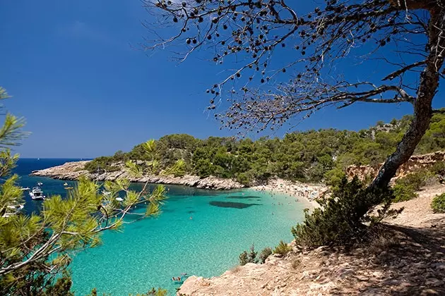 Raisons d'aller à Ibiza au printemps