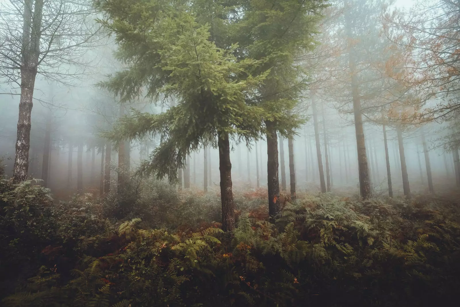 Leire preferon të fotografojë në agim.