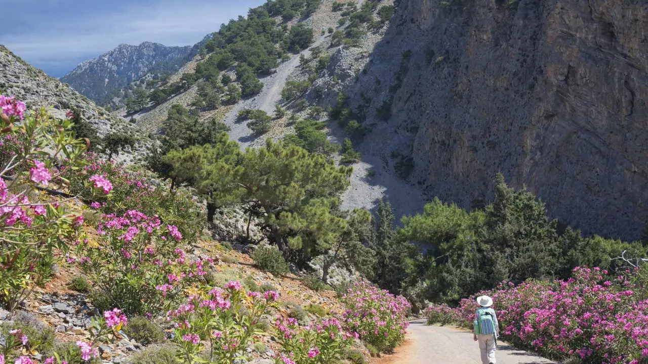 Gorge Samaria: an Gorge is faide sa Ghréig