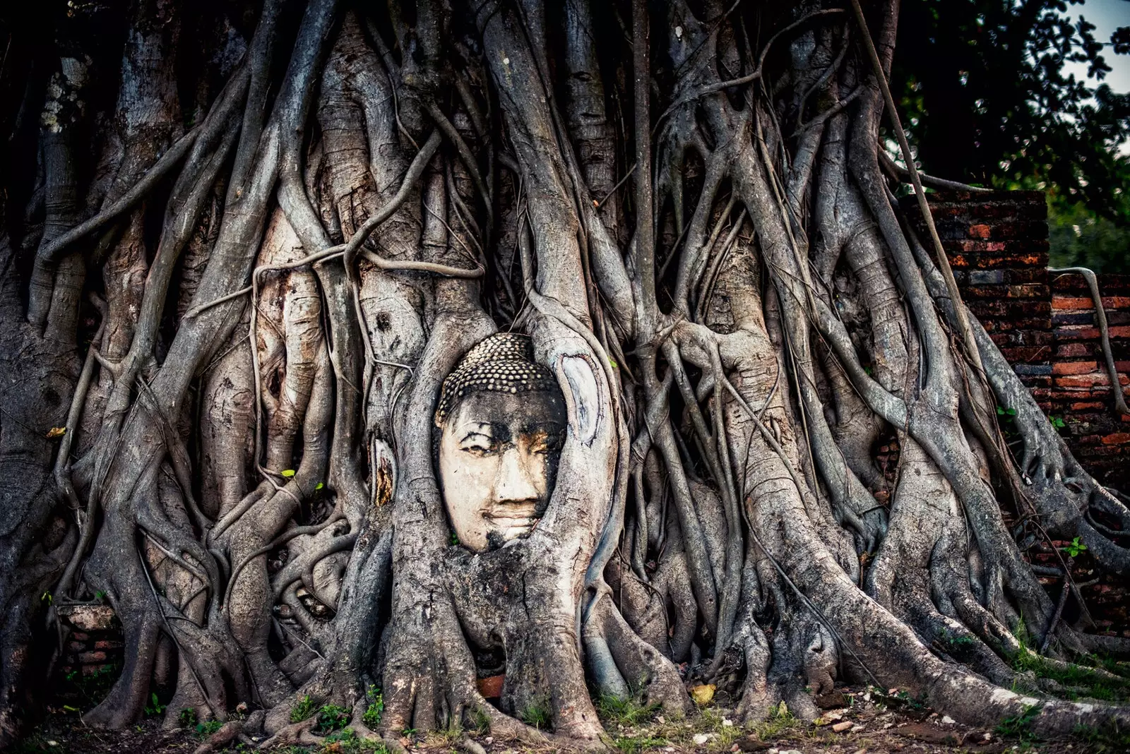 Wat Phra Mahath