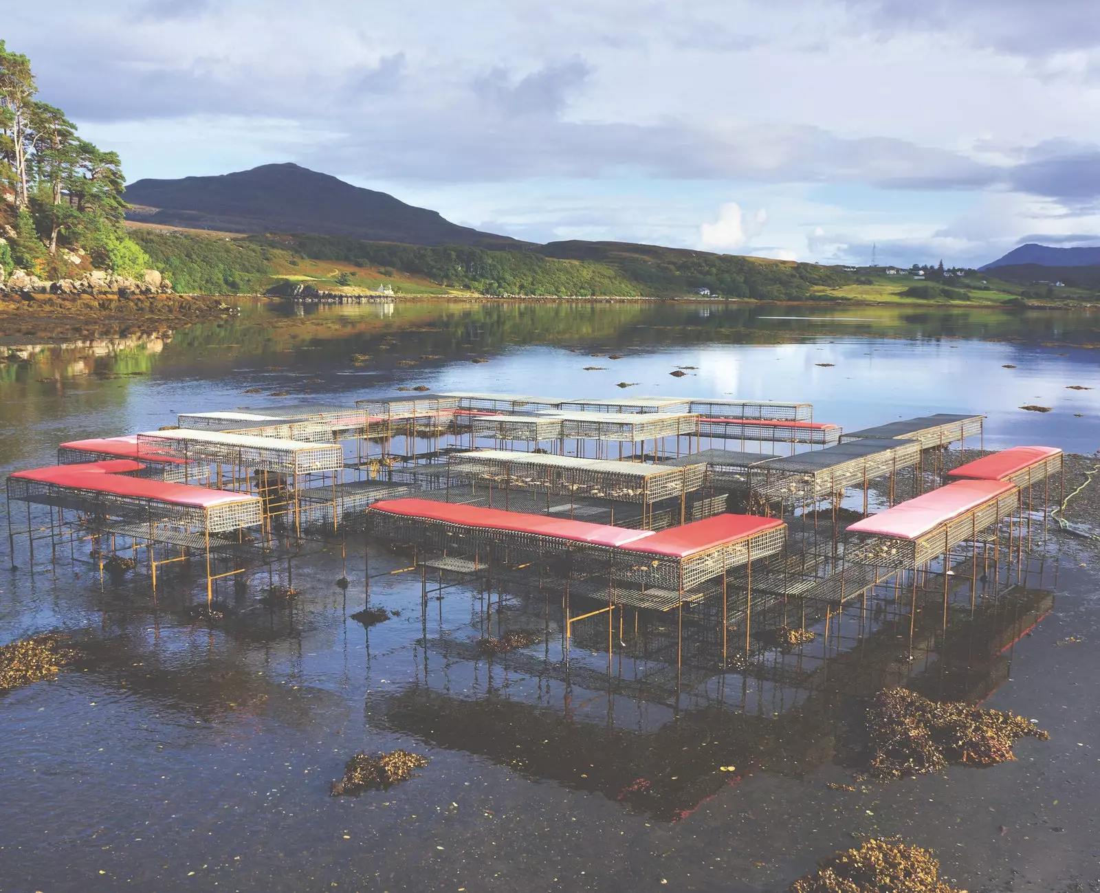 CLIMAVORE sur les zones de marée sur l'île de Skye en Écosse