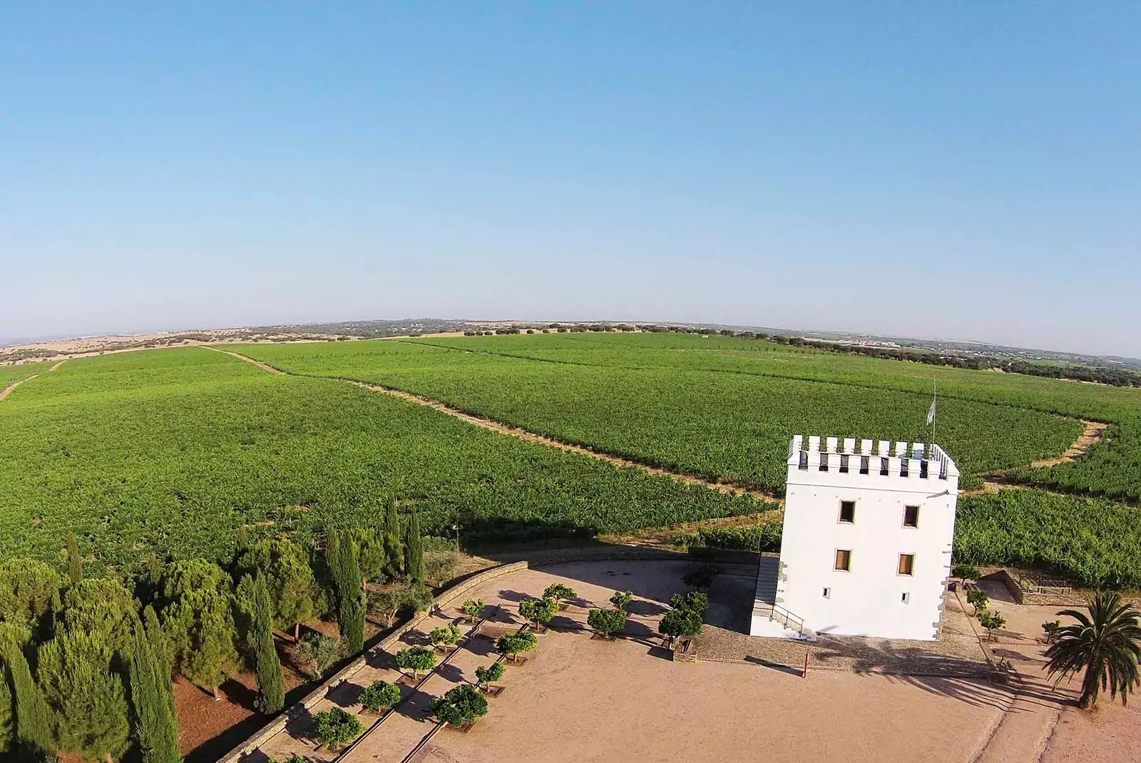 Herdade do Esporao şərab zavodu