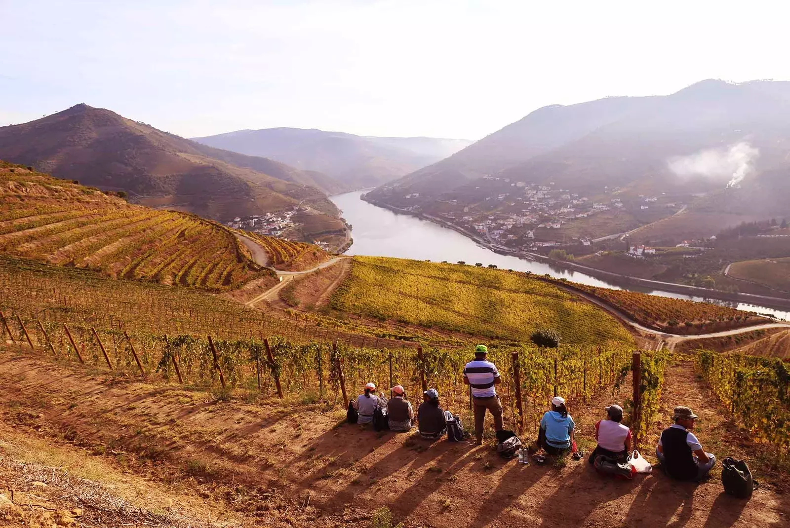 Herdade do Esporao vinogradi