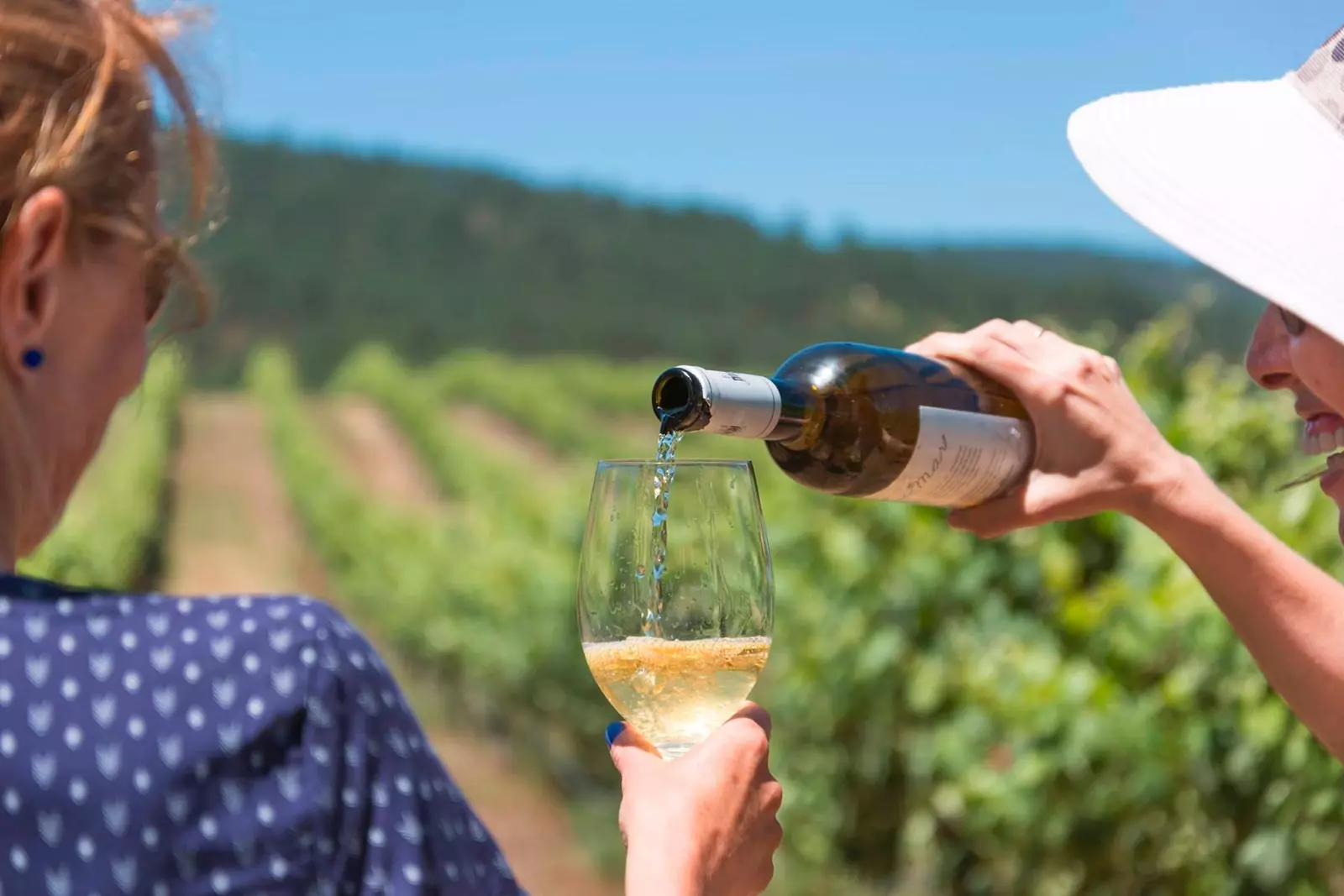 Wéngerten Bodega Terras Gauda a Fra Déngscht Wäin zu engem aneren