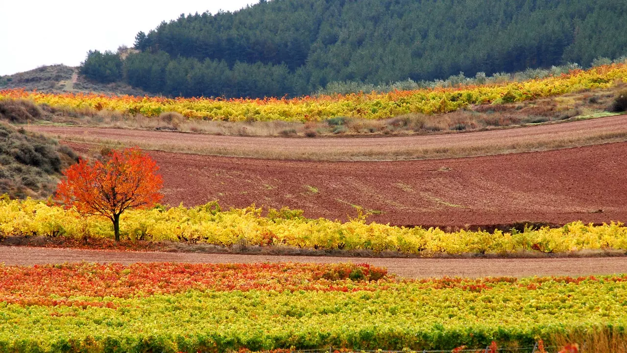 Leyndarmál Camino de Santiago í La Rioja