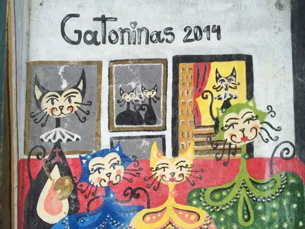 Gatonínarnir