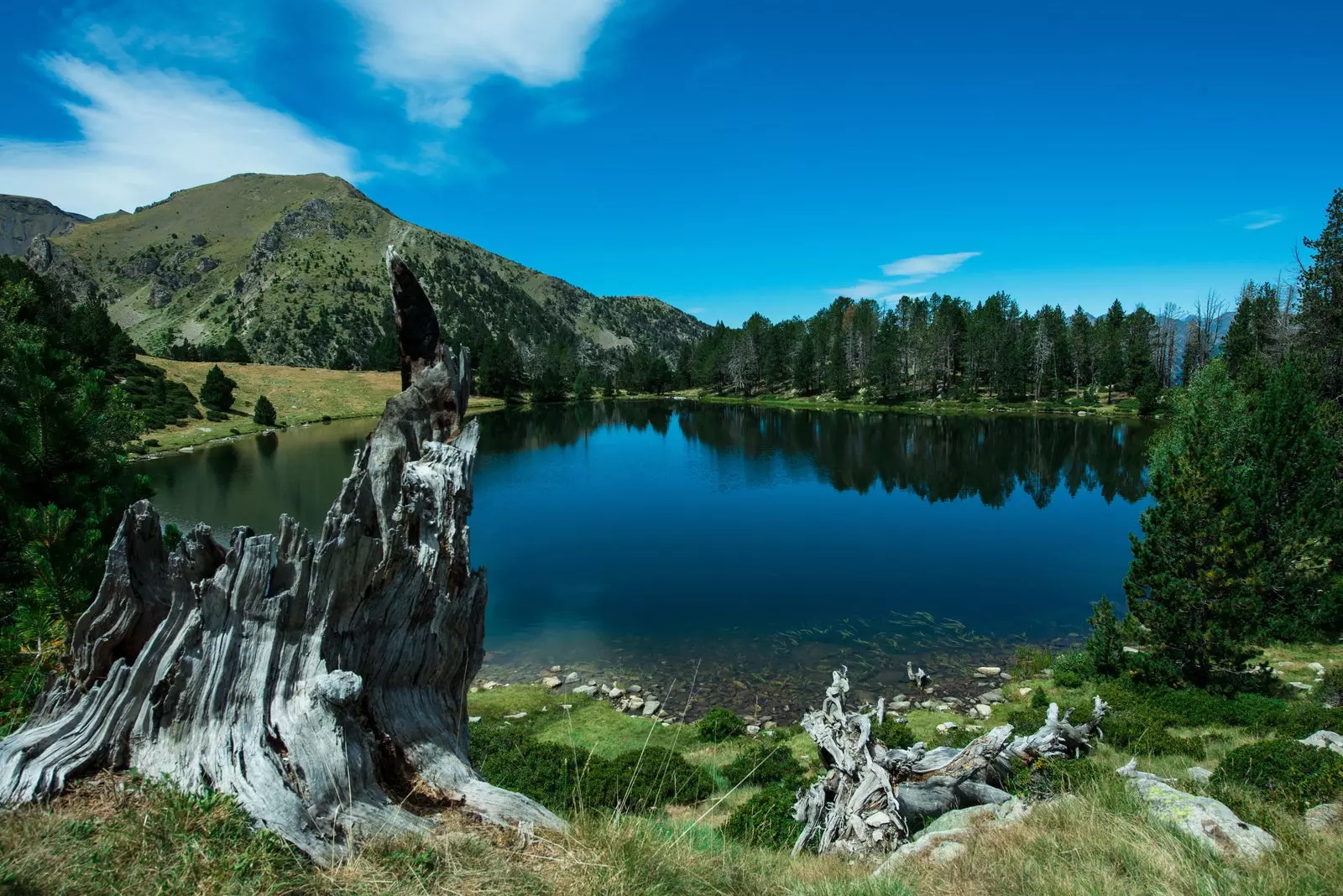 Estany de la Nou