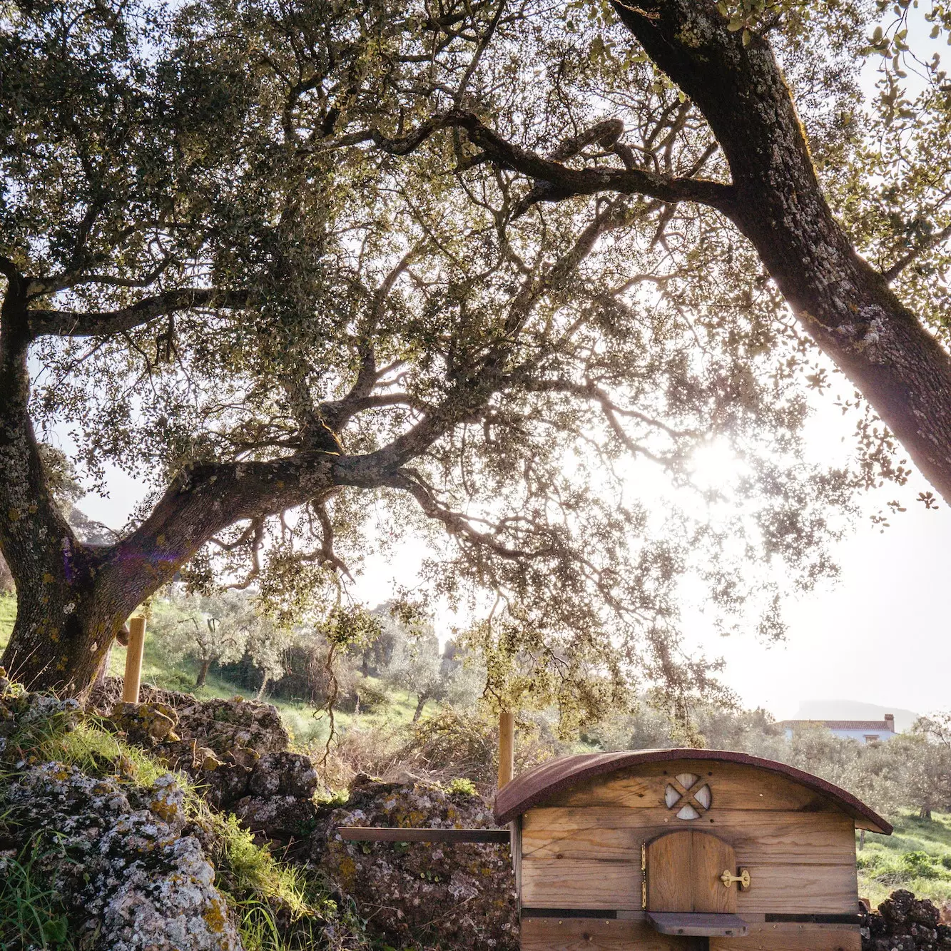 In Europa gibt es nur vier Bienen-Meditationsbetten dieser Art