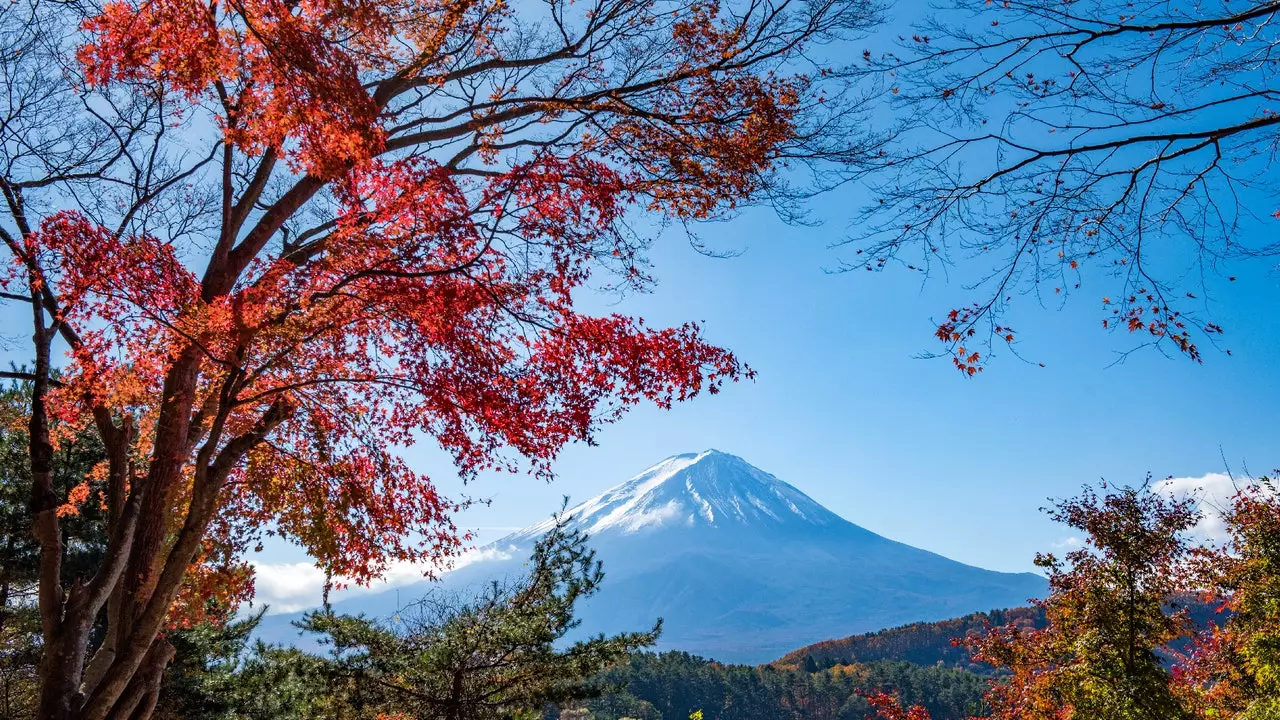 Momiji, japońska pasja jesieni