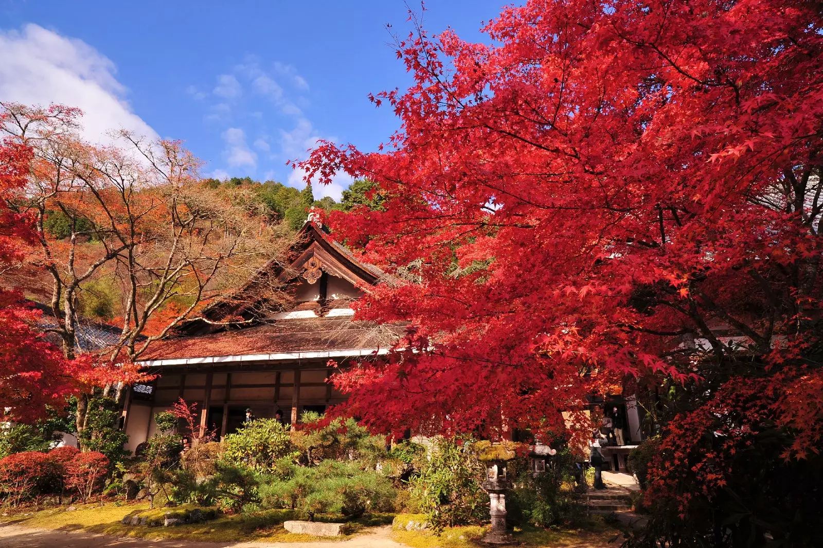 Kyoto