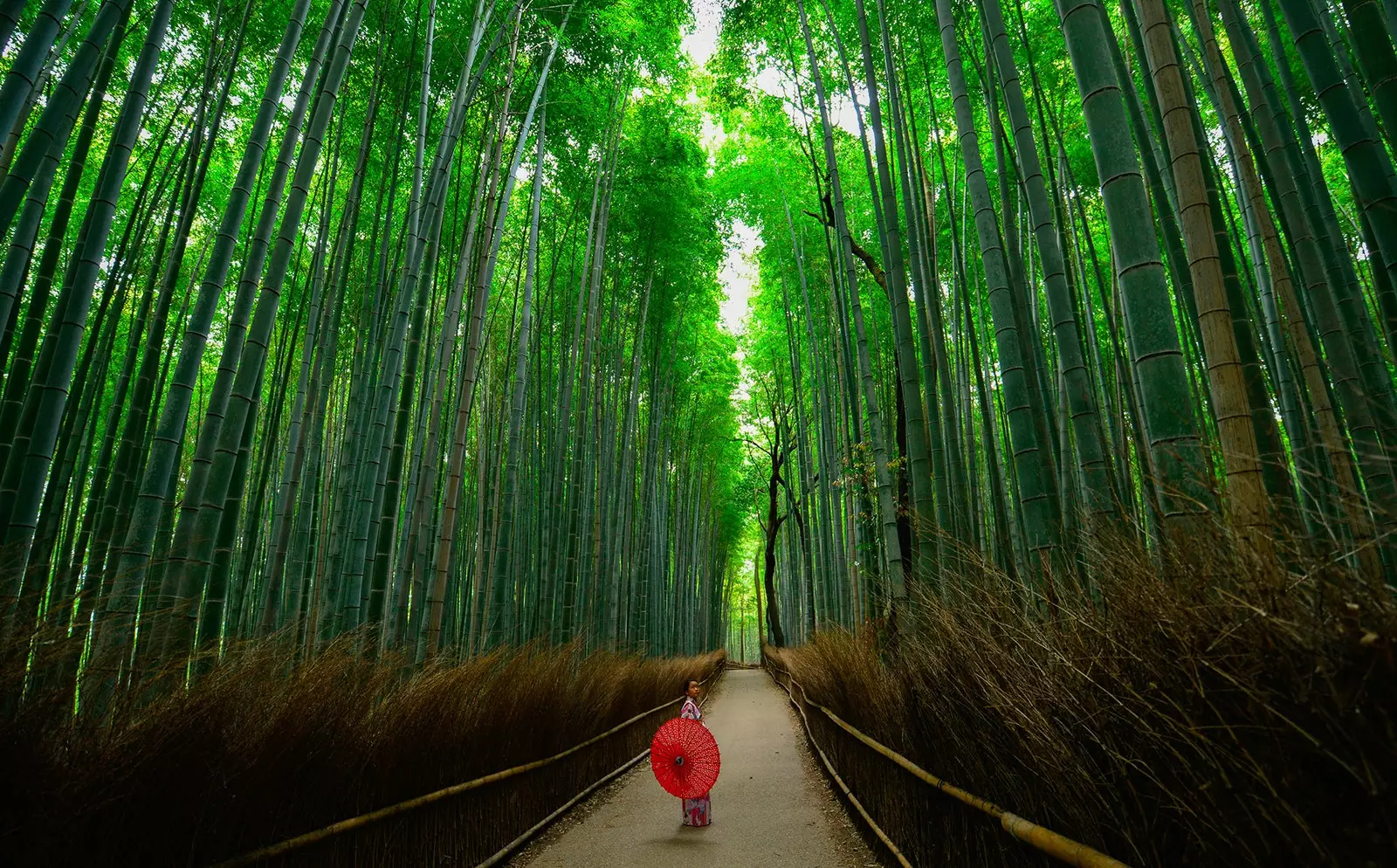 15 shprehje të papërkthyeshme që do t'ju bëjnë të dashuroheni edhe më shumë me Japoninë