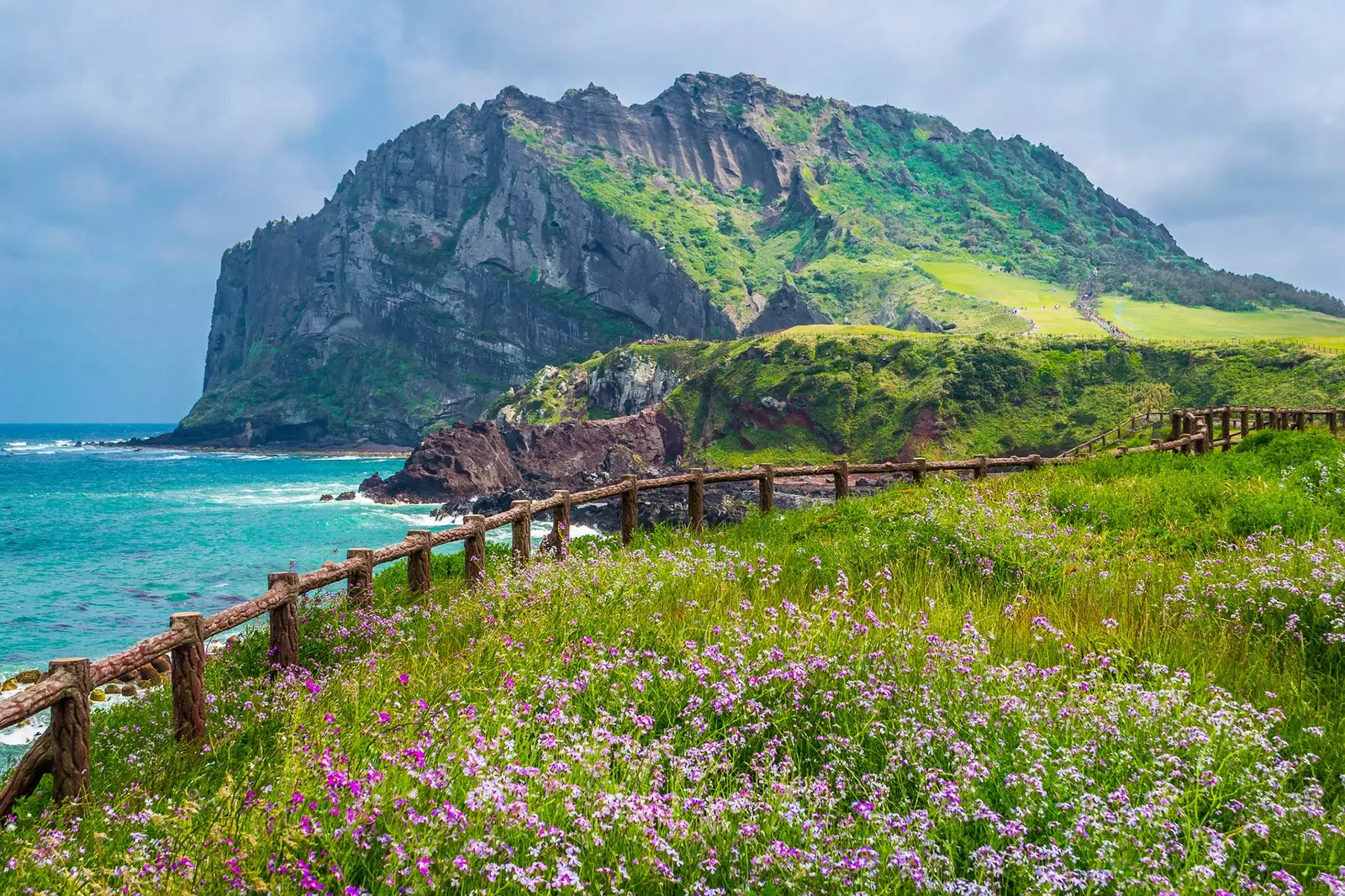 Jeju Adası