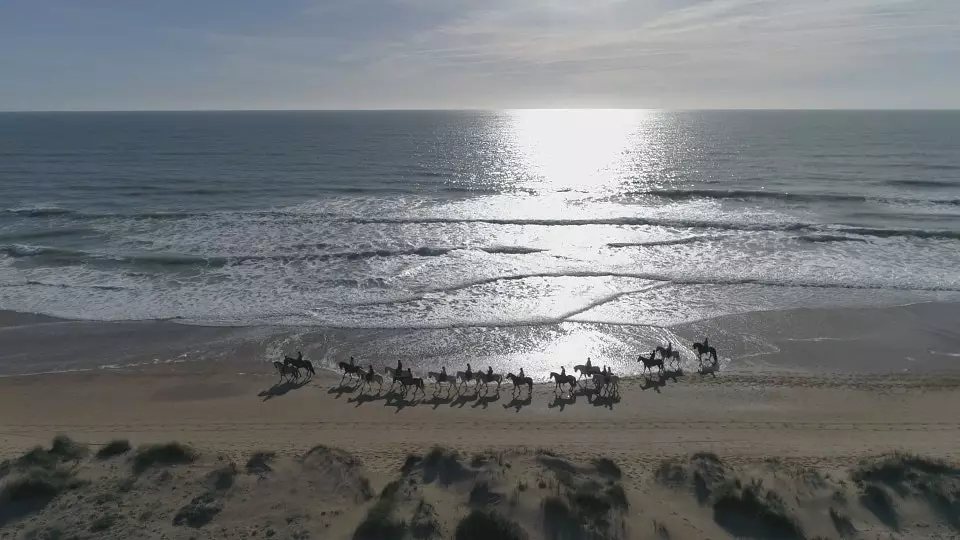 Ionad Ríoga Eachaíochta Chiclana