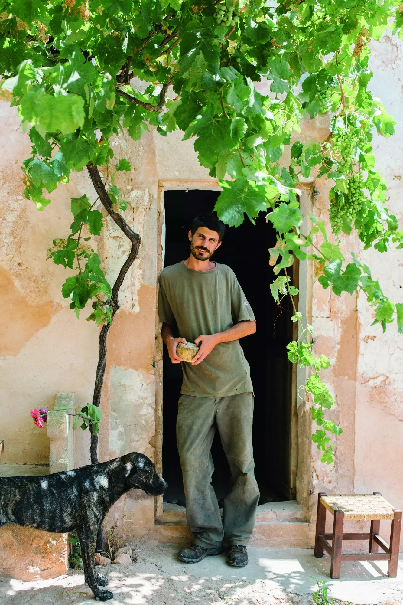 Lluis la ferma sa din Llucmajor, unde face brânzeturi organice din lapte de oaie.