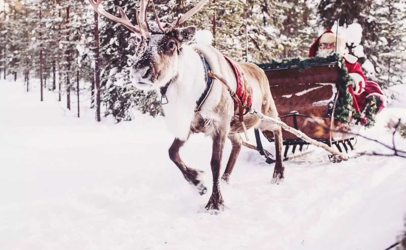 The real house of Santa Claus is not in Rovaniemi