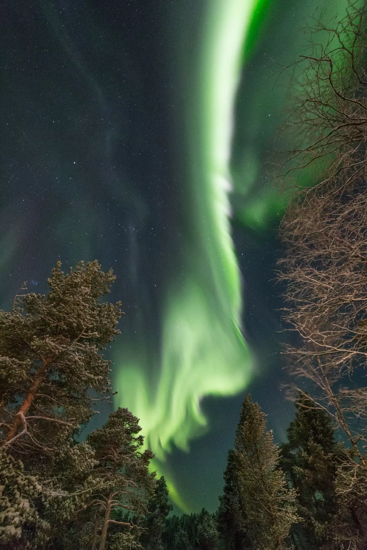 Khách sạn Wildernerss Inari