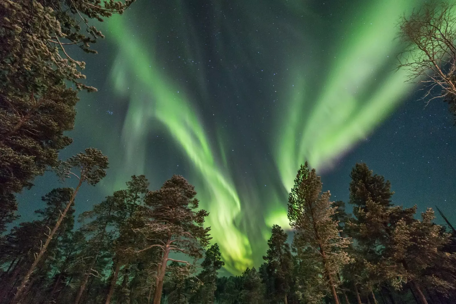 Wilderners óstán Inari