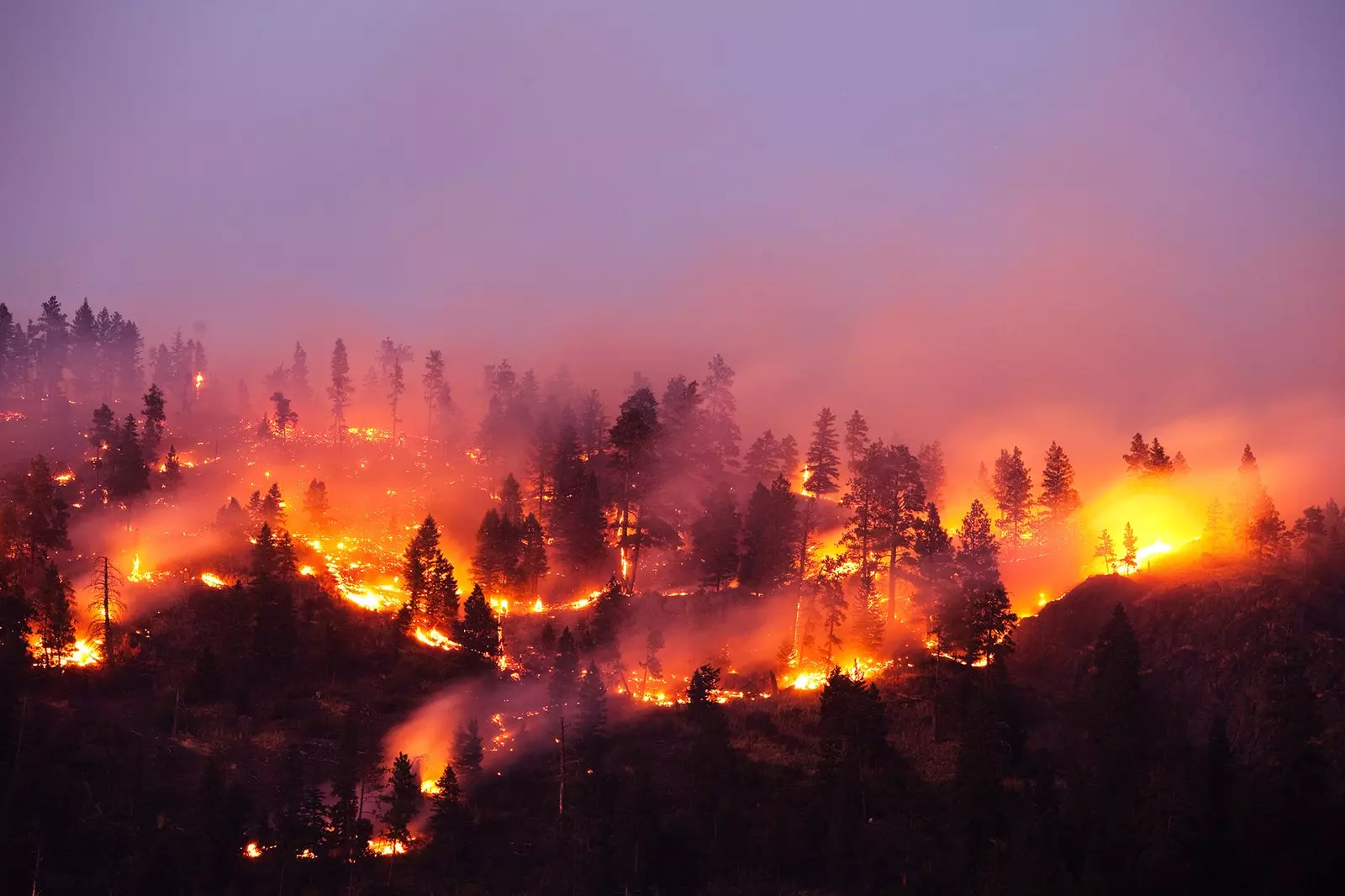 Informações de serviço como prevenir e o que fazer em caso de incêndio