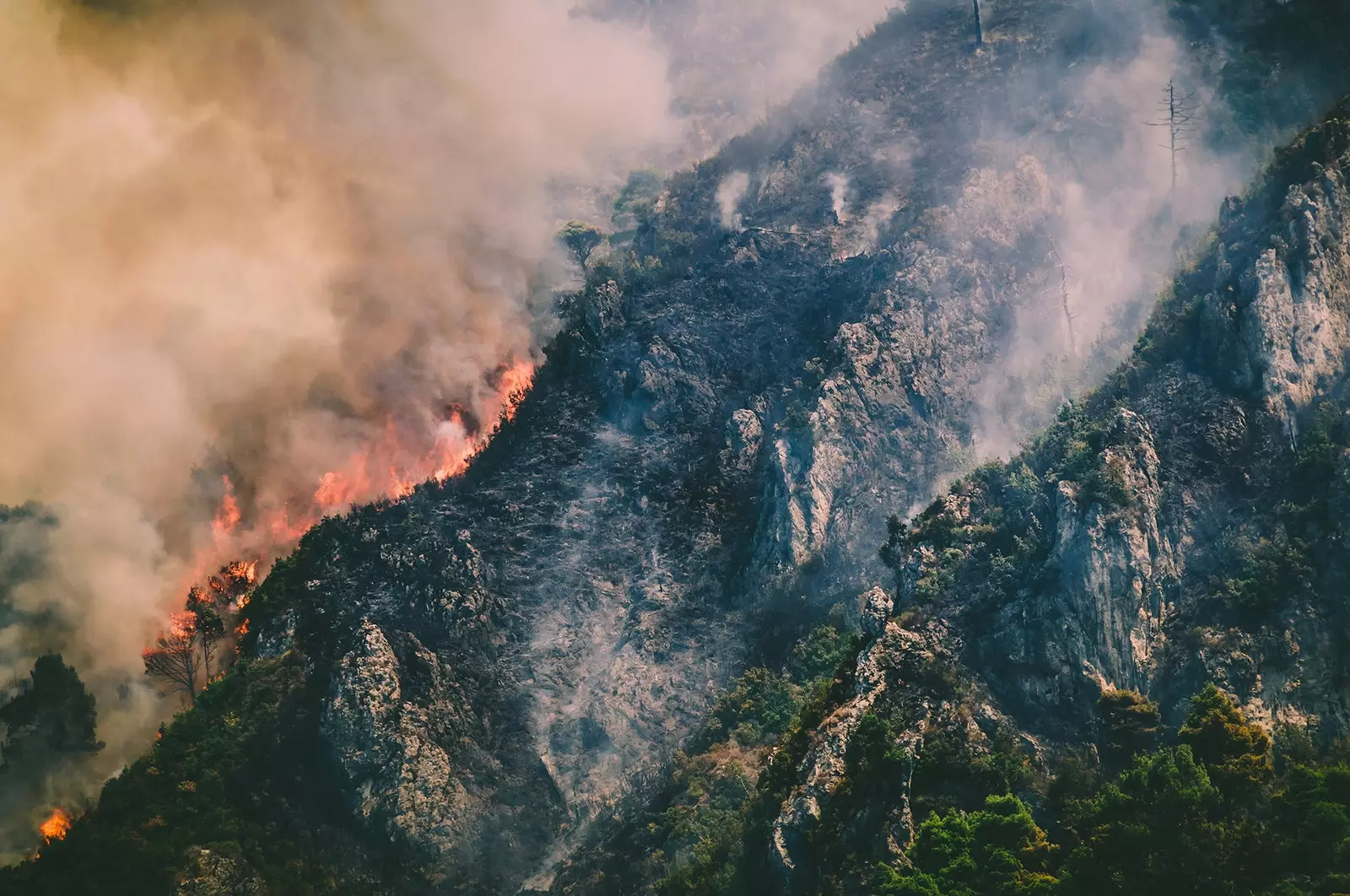 Informazioni di servizio su come prevenire e cosa fare in caso di incendio