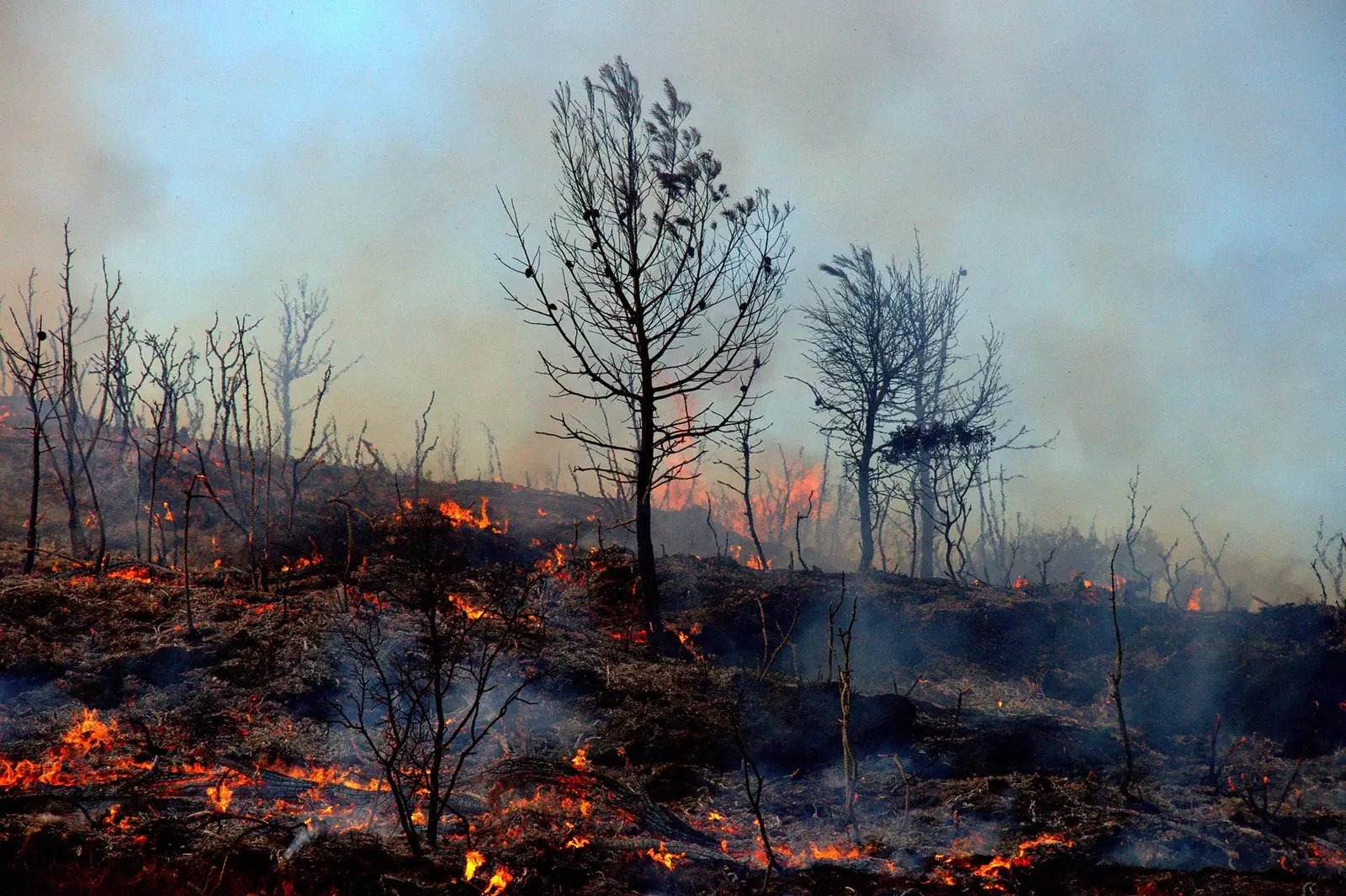 Informações de serviço como prevenir e o que fazer em caso de incêndio