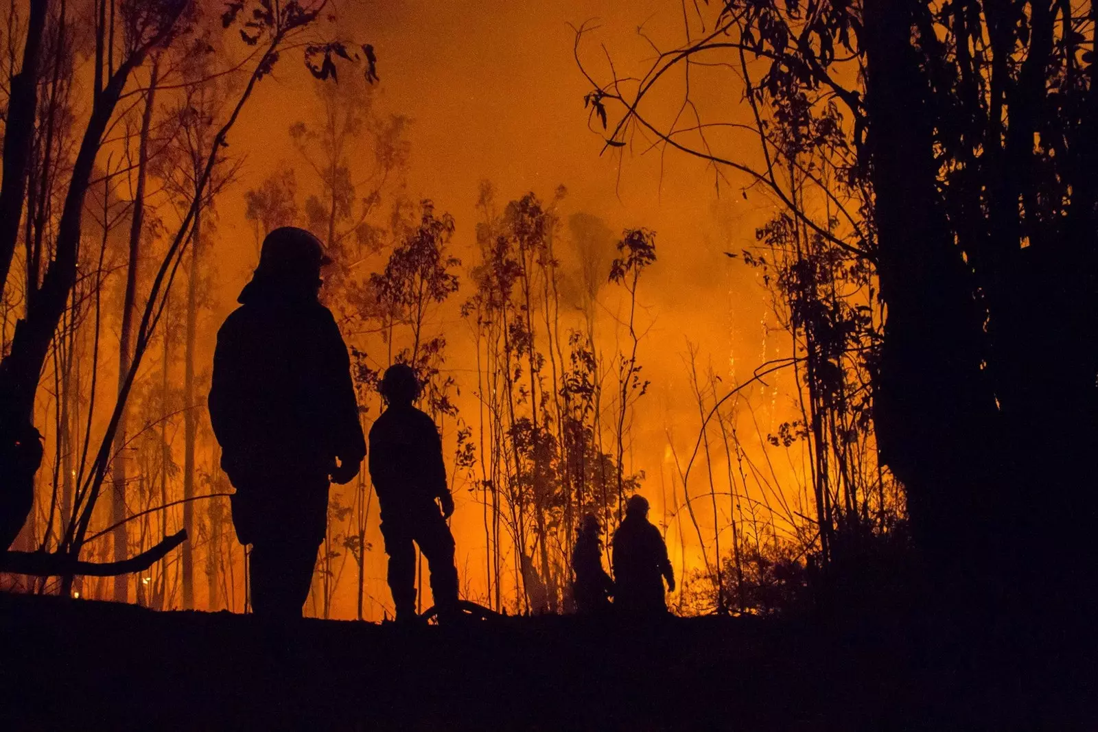 Serviceinformation hur man förebygger och vad man ska göra i händelse av brand