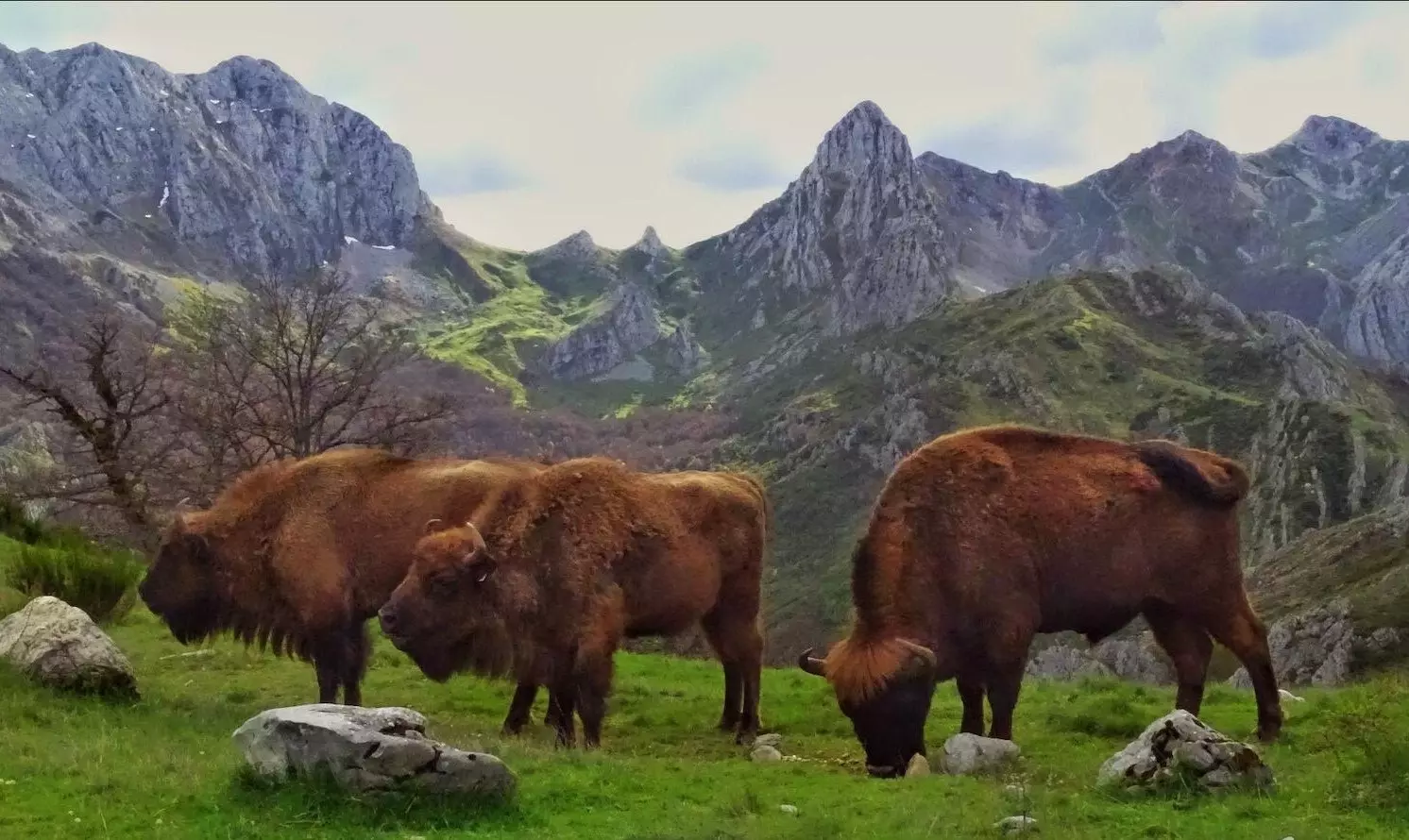 Mura Aragorn i Tendeña u dolini Anciles.