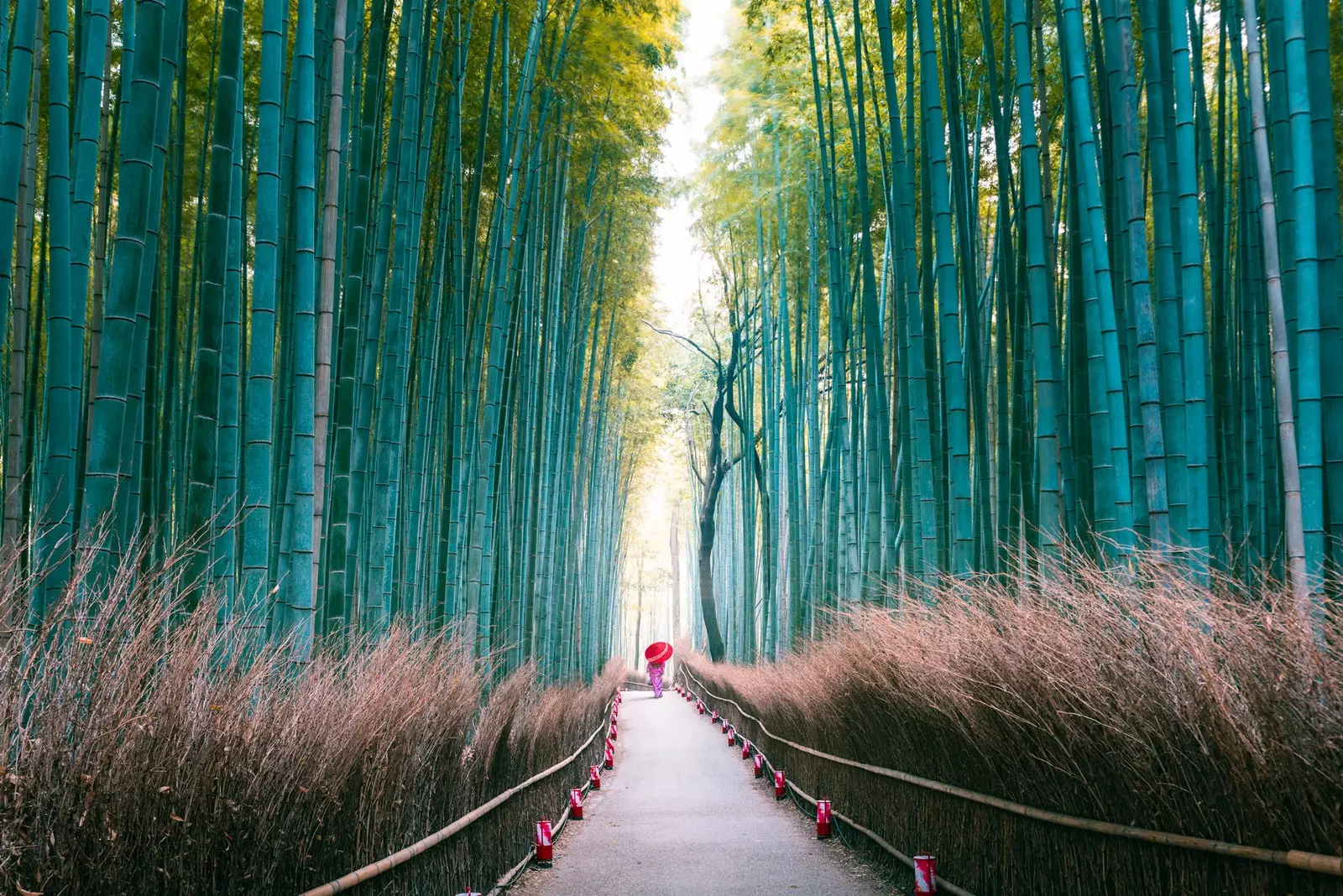 Arashiyama