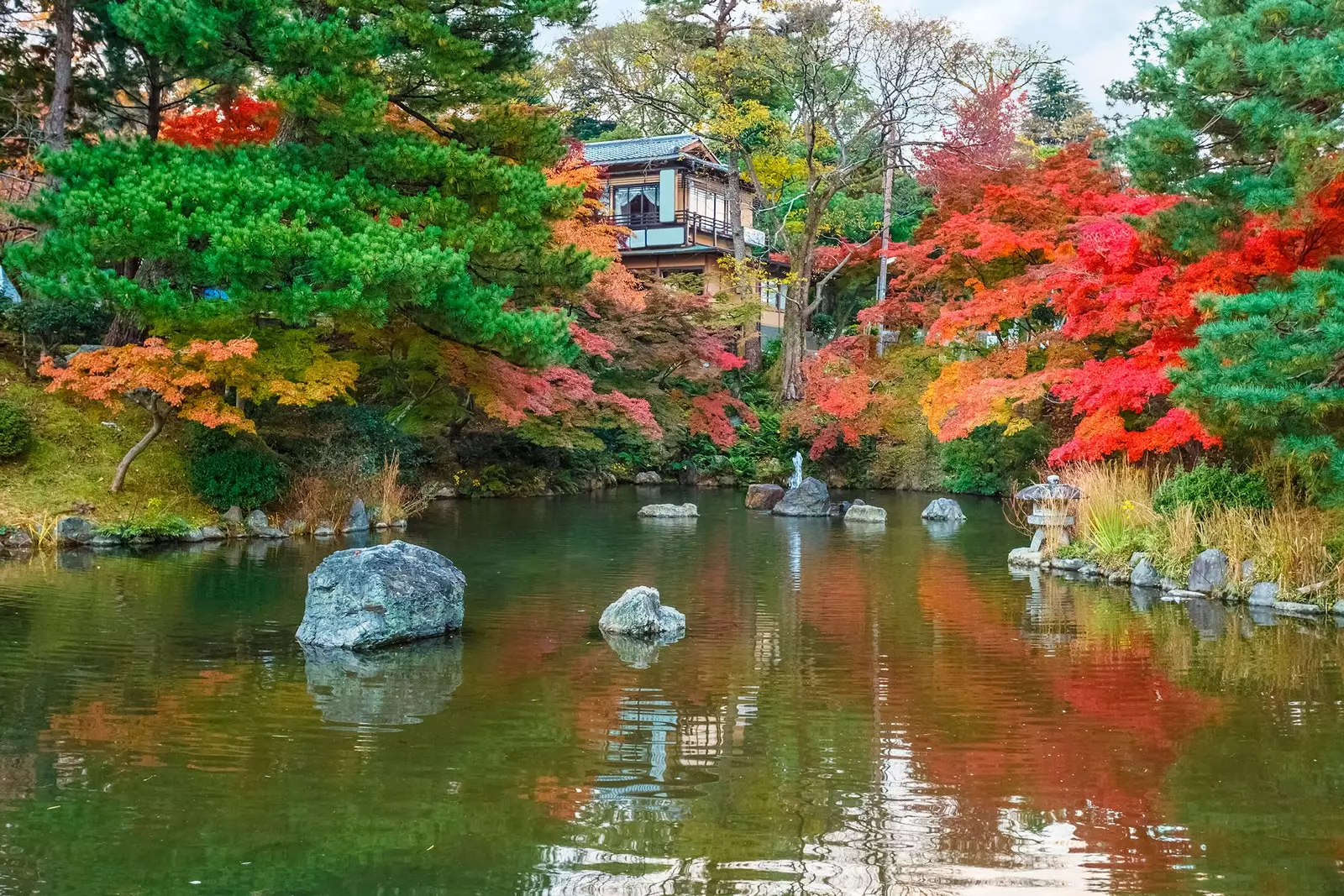 Maruyama