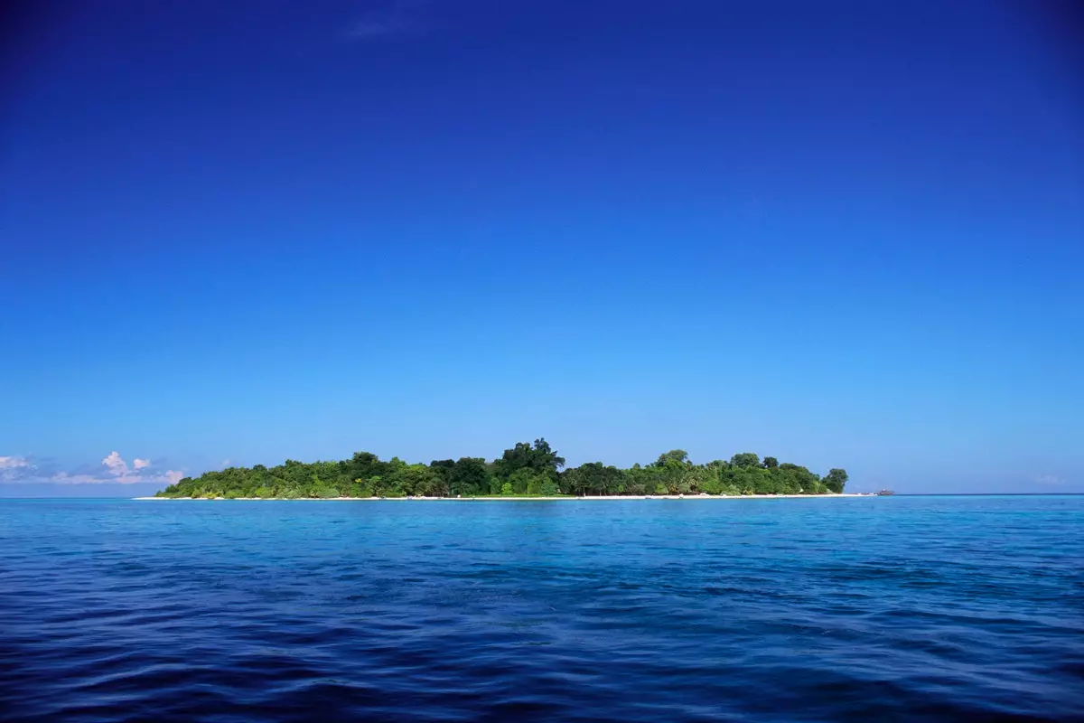 De zeebodem van Maleisië of het wondermiddel van de duiker