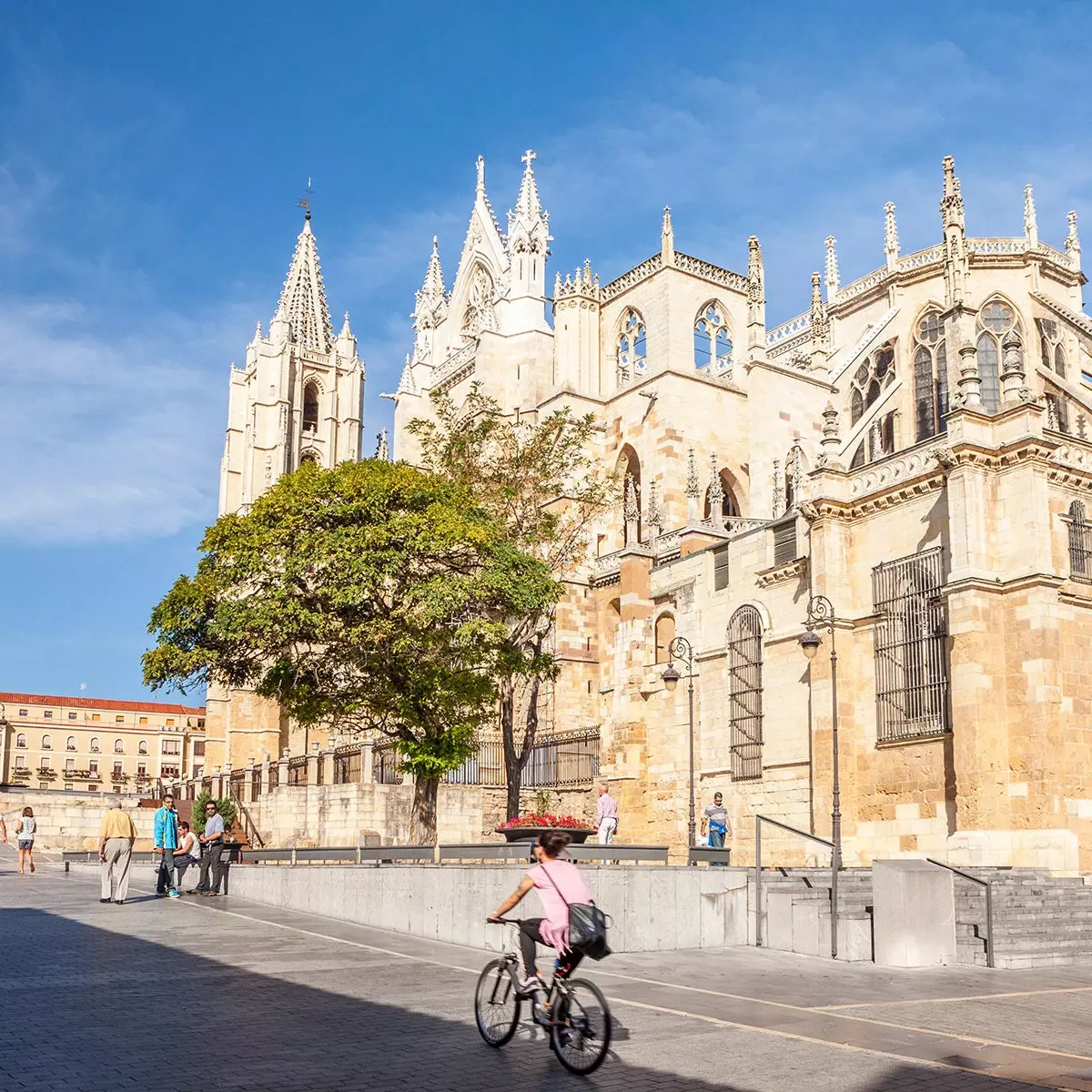 Catedral de Lleó