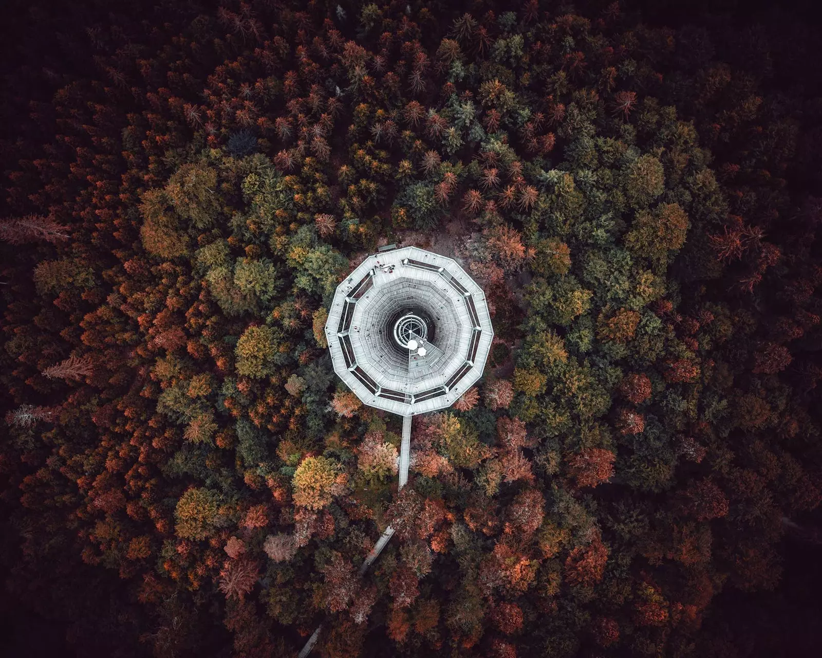 Baumwipfelpfad ein Holzturm mitten im Wald