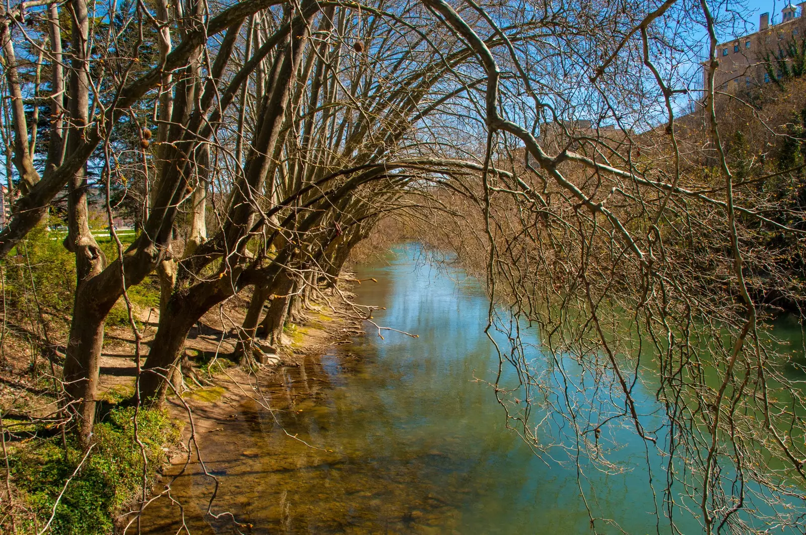 Parku i lumit Arga