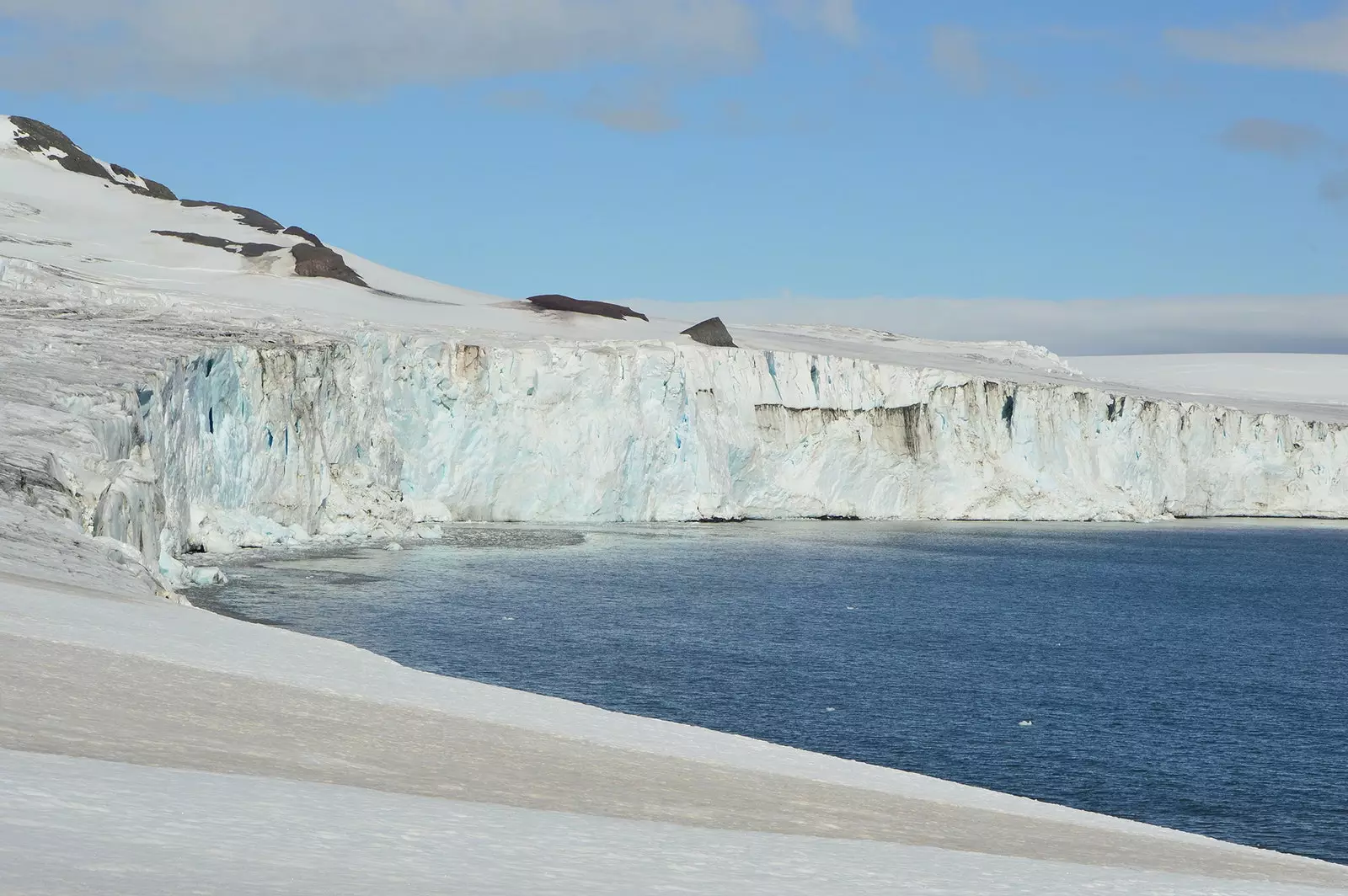 White and blue are the predominant colors